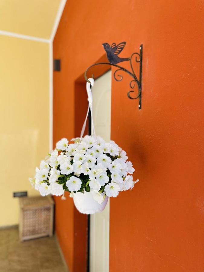 Il Giardino Di Iole Via Giovanni Amendola N36 Bed and Breakfast Sassari Eksteriør billede