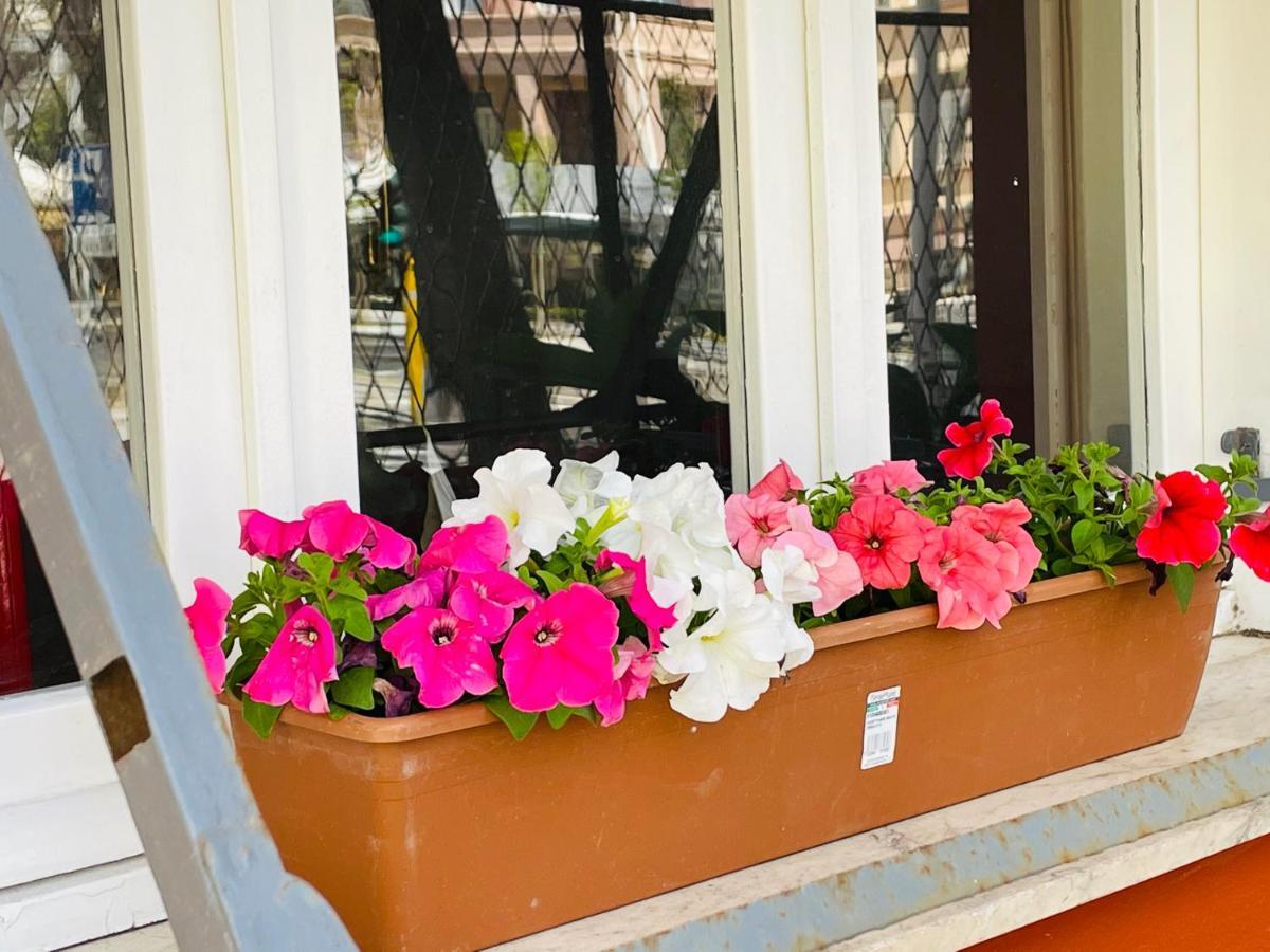Il Giardino Di Iole Via Giovanni Amendola N36 Bed and Breakfast Sassari Eksteriør billede