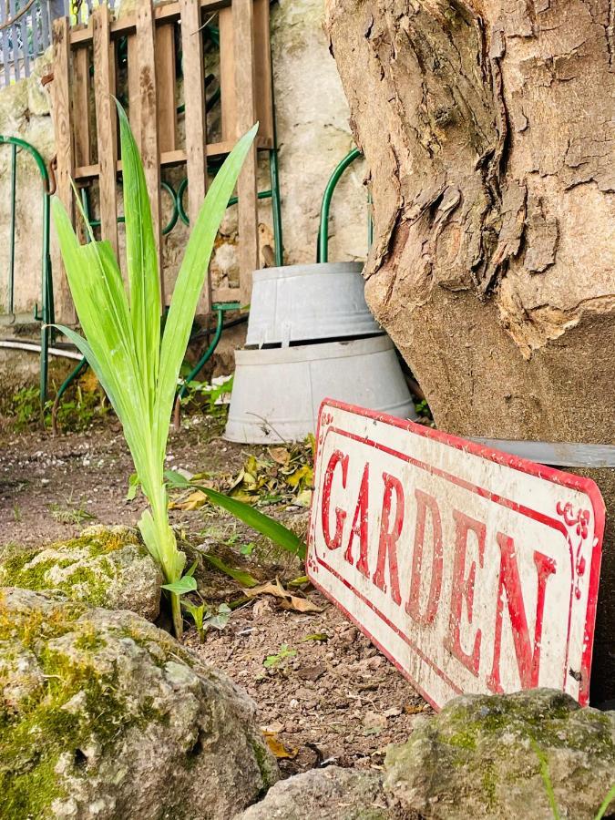 Il Giardino Di Iole Via Giovanni Amendola N36 Bed and Breakfast Sassari Eksteriør billede